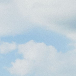 香香公主和爱犬1-6季种子
